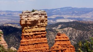 Bryce Canyon View and Hoodoo