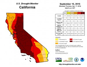 In northern and central California, Exceptional Drought (D4, shown in deep red) reflected abysmal water year precipitation totals. Similar precipitation (D3 or D4 equivalent) are prominent for the past water year from San Francisco to Los Angeles and east to the Sierra Nevada, including the San Joaquin Valley. (Photo credit: National Drought Mitigation Center)